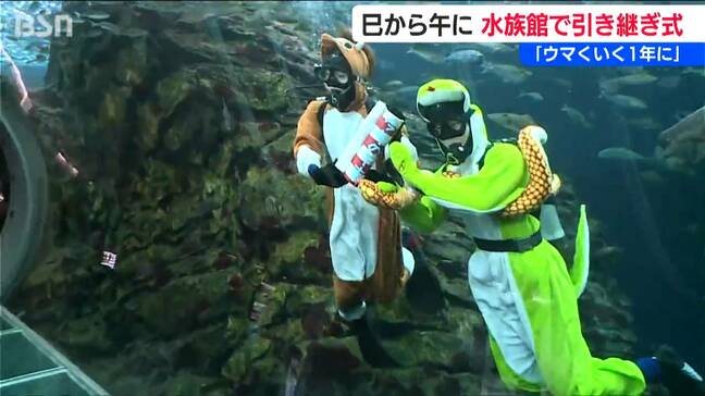 「ウマヅラハギも撮ってほしい」水族館で干支の引継ぎ式「なにごともウマくいく1年に」新潟県上越市|TBS NEWS DIG