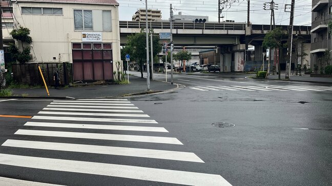 トラック運転手の男をひき逃げなどの疑いで逮捕「いなくなっても大丈夫だろう」千葉市の交差点で男性2人をひき重傷負わせ逃走したか|TBS NEWS DIG
