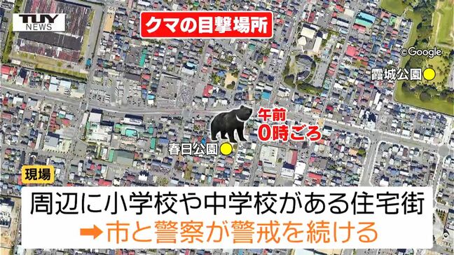 山形市の市街地や天童温泉街付近などでクマの目撃情報　付近に潜んでいる可能性も|TBS NEWS DIG