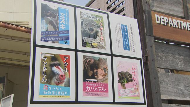どうぶつ代表総選挙告示!5種の動物が熱い戦い「選挙に親しみを」|TBS NEWS DIG