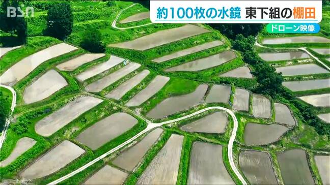 まるで“鏡” 山間地で扇状に広がる100枚の棚田の風景【ドローン映像】新潟県十日町市 東下組集落|TBS NEWS DIG