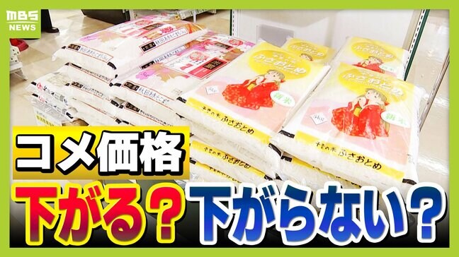 JAが"政府の備蓄米買い上げ"見越して価格下げず!?「古いコメは食用向きでないなどと理由をつけ...」余っているコメ高止まりのワケ【専門家解説】|TBS NEWS DIG
