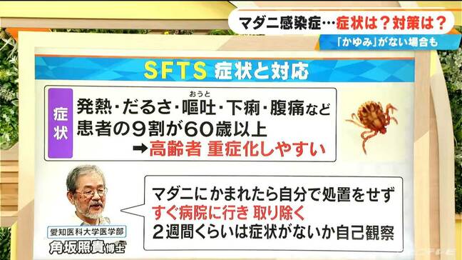 “マダニ感染症”死に至るケースも…感染しないために注意するべき場所･症状や予防策は? ペットの散歩時も要注意|TBS NEWS DIG