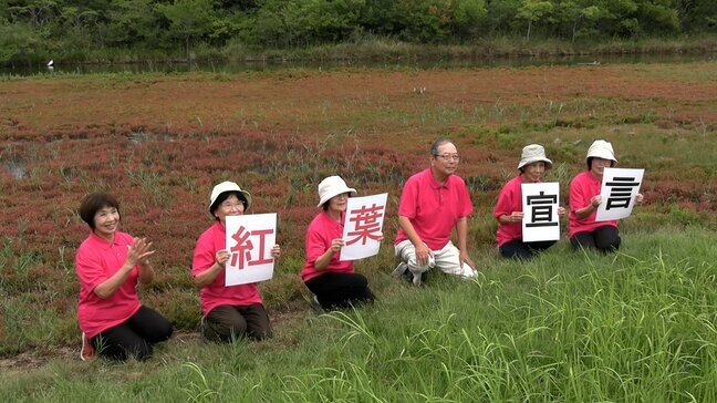 絶滅危惧II類に指定・アッケシソウの紅葉宣言「瀬戸内の海辺に訪れた秋を楽しんで」【岡山・浅口市】|TBS NEWS DIG
