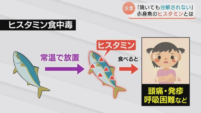 「焼いても分解されない」ヒスタミン食中毒に注意 富山市 学校給食でのフクラギ(ブリの幼魚)提供中止を決定…南砺市の給食で105人の食中毒受け|TBS NEWS DIG