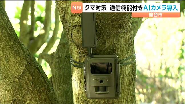 AI活用しクマか判定　通信機能付きAIカメラ設置し行動範囲把握へ　仙台市|TBS NEWS DIG