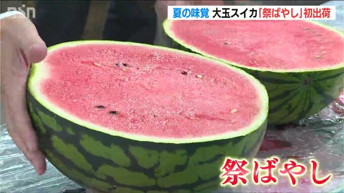 全て糖度12度前後を約束「去年より絶対おいしい」大玉スイカ『祭ばやし』初出荷　新潟市|TBS NEWS DIG