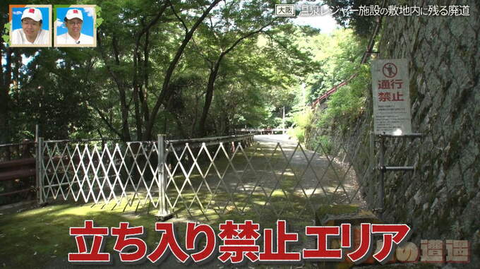 大阪の「箕面温泉スパーガーデン」立ち入り禁止エリアに眠る“廃道” “廃墟”の正体は？敷地内に鳥居が連なる参道も？ 道との遭遇|TBS NEWS DIG