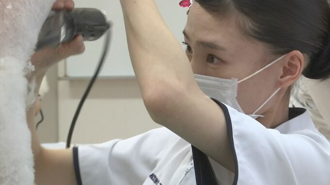 制限時間２時間　成績上位は全国へ　トリミング検定　|　BSSニュース | BSS山陰放送