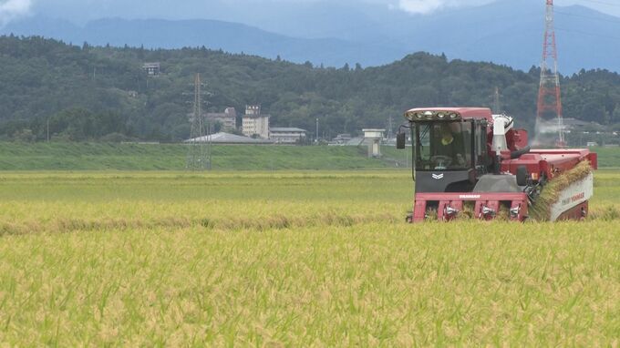 岩手県内の稲刈り進捗28％　2023年より8日ほど早く進む　今月19日時点|TBS NEWS DIG