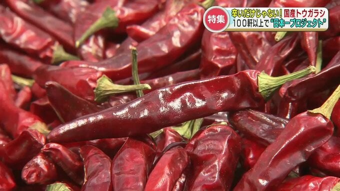 『唐辛子日本一プロジェクト』に100軒以上の農家×企業がタッグを組んで挑戦！鳥獣被害が少なく、栽培に手がかからない優秀な作物？　|　熊本のニュース｜RKK NEWS｜RKK熊本放送