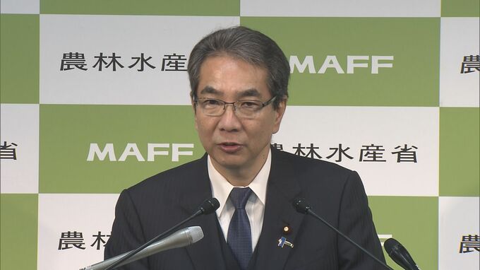 「全く踏み込む段階ではない」江藤農水大臣　コメの関税引き下げなどについて