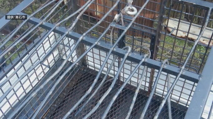 クマが金属製の『箱わな』の格子を破って脱走か…　紅葉の名所「中野もみじ山」周辺で散策コースの一部が立ち入り禁止に　青森県黒石市が苦渋の決断　関係者からは心配の声も【熊災】|TBS NEWS DIG