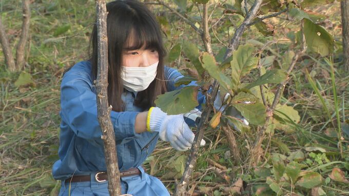 豊かな自然を守り続けるために 企業が森づくり　|　石川県のニュース｜MRO北陸放送