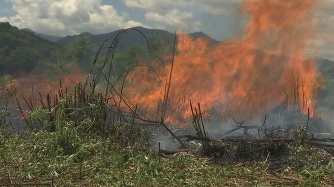 「里山焼かんかね？」中山間地の課題に挑戦する大学サークル「国営開発農地について遊休化しているところが増えている」　|　BSSニュース | BSS山陰放送
