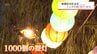 繁華街を彩る　宮崎市ニシタチの提灯が復活　|　MRTニュース ｜ ＭＲＴ宮崎放送