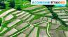 まるで“鏡” 山間地で扇状に広がる100枚の棚田の風景【ドローン映像】新潟県十日町市 東下組集落　|　新潟のニュース・天気｜BSN NEWS｜BSN新潟放送