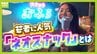 【夜の社交場】リアルなつながり求めて…人々集う『ネオスナック』の魅力とは　映え内装・SNS発信・明朗会計で若者や女性を魅了　令和のいまこそ業界に「新たな風」　|　MBSニュース | 関西の最新ニュースを分かりやすく。