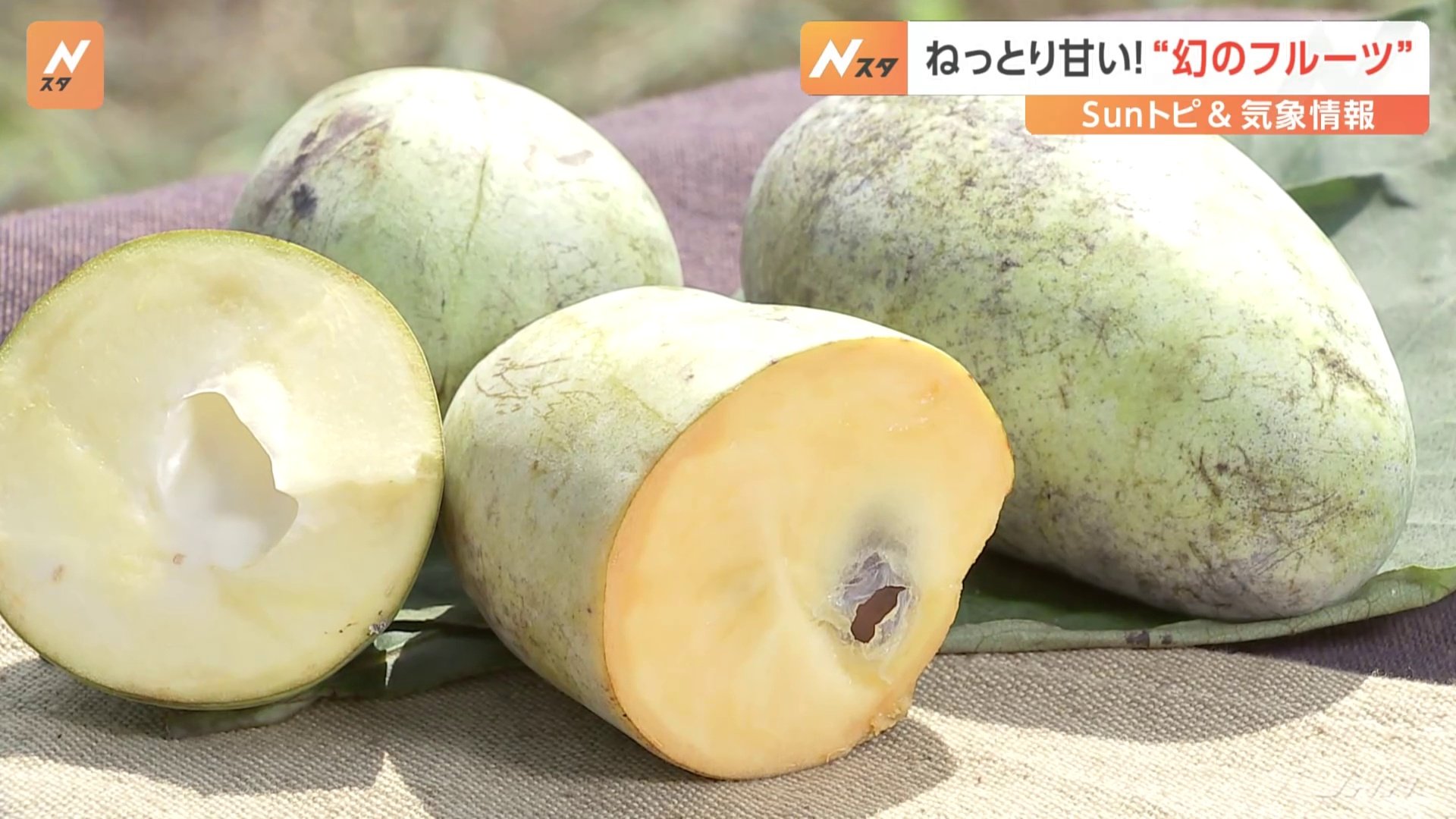 スポード　プラーク　陶板　フルーツ 果物 スポード プラーク 陶板 フルーツ 果物