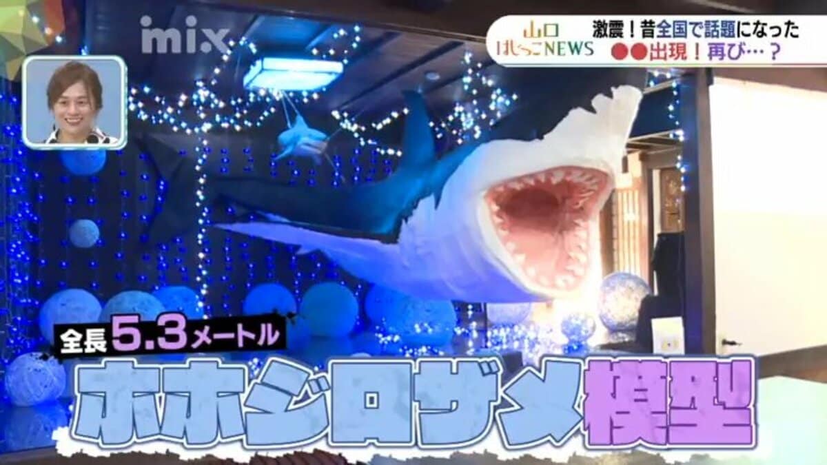 こだわりはどんどん強く…今年も巨大サメが出現 もはや夏の風物詩 山口