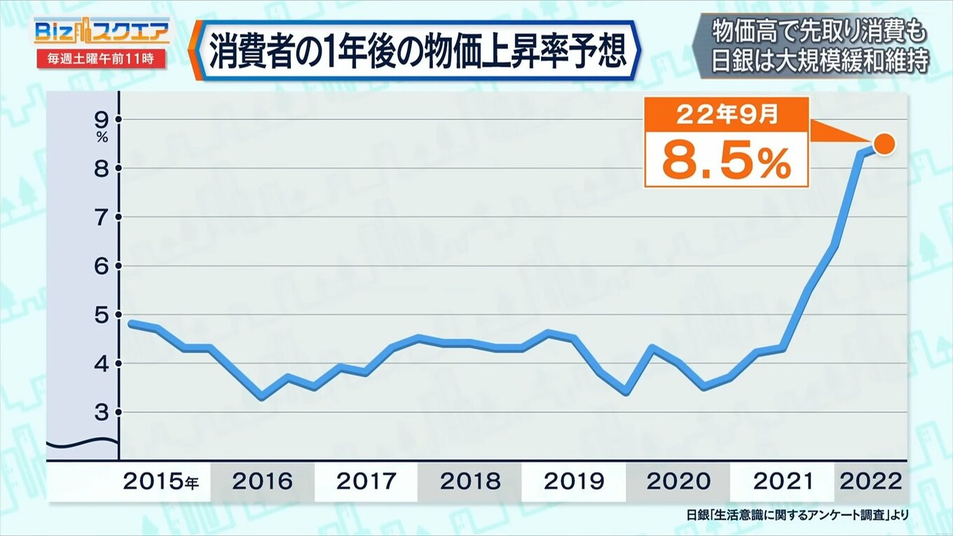 物価高で家計負担は年間12万円増？！総合経済対策は将来世代に負担を先送り【Bizスクエア】 | TBS NEWS DIG (2ページ)