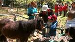 ホースセラピーで「癒しのひと時」　大自然の中で馬との触れ合いイベント　宮城・富谷市|TBS NEWS DIG