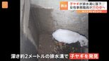 子ヤギが高速道路に迷い込み…女性職員が狭い排水溝に突入し救出!高速道路を守るパトロール隊|TBS NEWS DIG