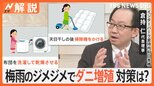 “症状重く強くなることも”ダニにかまれ…被害増加、医師が注意呼びかけ、布団の中のダニ対策【Nスタ解説】|TBS NEWS DIG