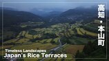 【空から見る高知】本山町の棚田 Japan's Rice Terraces Timeless Landscapes | 高知のニュース・天気|KUTV NEWS | KUTVテレビ高知