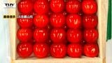 【動画】去年より30万円上回る　さくらんぼ「佐藤錦」過去最高額の180万円で落札　一粒あたり約2万6000円　東京・大田市場（山形）|TBS NEWS DIG