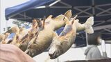 アユの塩焼き、ひた焼きそば…自転車ロードレースのパブリックビューイングにぎわう 大分・日田市 | 大分のニュース|OBS NEWS|大分放送