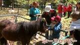 ホースセラピーで「癒しのひと時」　大自然の中で馬との触れ合いイベント　宮城・富谷市|TBS NEWS DIG