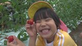 保育園児がミニトマト収穫　食に感謝する気持ちを育む　山梨・中央市　|　山梨のニュース | ＵＴＹテレビ山梨