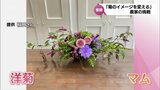 インパクトのある品種を 「仏花」としてだけではない 菊のイメージを変える農家の挑戦|TBS NEWS DIG