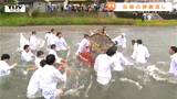 「れろれろれろれろれー!」奇習・神輿流し 川に神輿ごとダイブ!?鼠ヶ関の春を告げるまつりの魅力とは(山形・鶴岡市) | 山形のニュース│TUYテレビユー山形