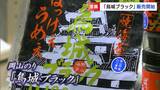 漆黒の岡山城とコラボ!岡山のり「烏城ブラック」岡山城内で販売 全国有数の「海苔の産地」PR|TBS NEWS DIG