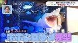 こだわりはどんどん強く…今年も巨大サメが出現　もはや夏の風物詩　山口県光市|TBS NEWS DIG