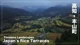 【空から見る高知】本山町の棚田　Japan's Rice Terraces　Timeless Landscapes|TBS NEWS DIG