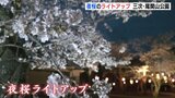 尾関山公園　夜桜のライトアップはじまる（広島･三次市）　|　RCC NEWS | 広島ニュース | RCC中国放送