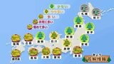 きょう(4日)関東から九州は晴れて気持ちの良い青空が 雨上がりの翌日で花粉が大量に飛散する見込み 岩手・青森・北海道は湿った大雪に|TBS NEWS DIG