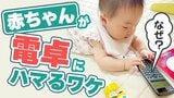 「電卓はライバルでしかない」あるある?電卓に夢中になる赤ちゃんたち 玩具メーカーも嫉妬する電卓の魅力|TBS NEWS DIG