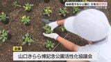 イベントに向け子どもたちが花の苗を植え付け「元気にきれいに育ってほしい」今年度閉校となる児童も思い出作り | 山口のニュース・天気・防災|tys NEWS|tysテレビ山口