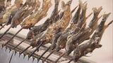 郡上の鮎の塩焼きに大野町の柿…岐阜県の特産物の魅力を知って 岐阜市でイベント|TBS NEWS DIG