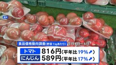 野菜価格 「トマト」「にんじん」は平年より2割高い　夏の高温や少雨で大きく育たず| TBS CROSS DIG with Bloomberg