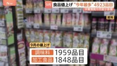 9月食品など値上げラッシュ…今年最多の4923品目　マヨネーズやしょうゆなど「調味料」が最多　中東情勢や円安など影響| TBS CROSS DIG with Bloomberg