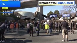 オオカミは飼育エリアの壁に生えた植栽を伝って擁壁を飛び越え脱走か 麻酔銃など使い園内で捕獲　東京・日野市の多摩動物公園|TBS NEWS DIG