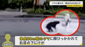 クマの目撃情報が“市街地周辺”で相次ぐ カメラがとらえた「襲撃」の瞬間…散歩中の女性が顔ひっかかれ負傷 被害を防ぐために必要なことは?【news23】|TBS NEWS DIG