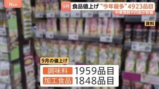 9月食品など値上げラッシュ…今年最多の4923品目　マヨネーズやしょうゆなど「調味料」が最多　中東情勢や円安など影響| TBS CROSS DIG with Bloomberg