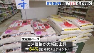 2024年度カロリーベース食料自給率は38% 低水準続く 生産額ベースは3ポイント上昇し64% コメの単価上昇が要因| TBS CROSS DIG with Bloomberg