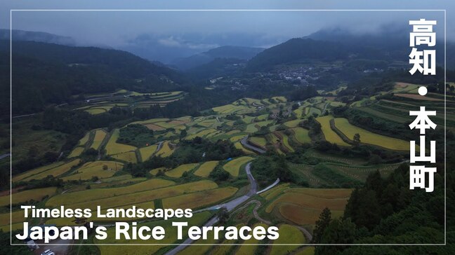 【空から見る高知】本山町の棚田　Japan's Rice Terraces　Timeless Landscapes|TBS NEWS DIG